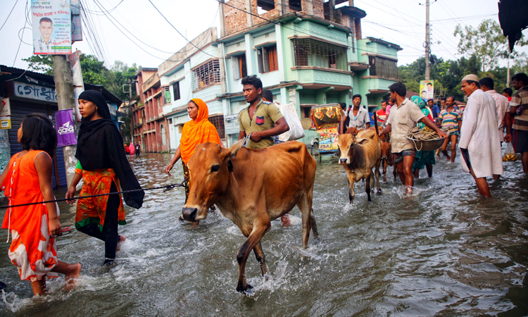 গাইবান্ধায় ৪ লাখ পরিবার পানিবন্দি, ৪’শ শিক্ষা প্রতিষ্ঠান বন্ধ
