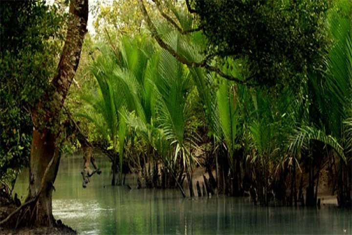 সুন্দরবনে র‌্যাবের সঙ্গে ‘বন্দুকযুদ্ধে’ ৪ জলদস্যু নিহত